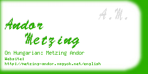 andor metzing business card